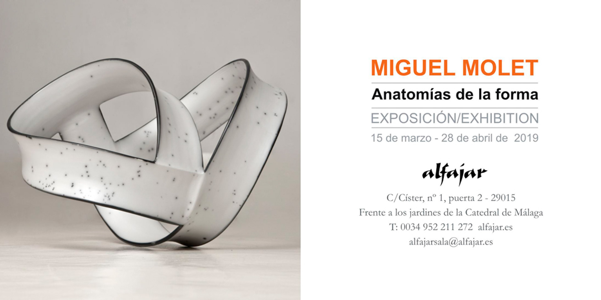 Miguel Molet: Anatomías de la forma
